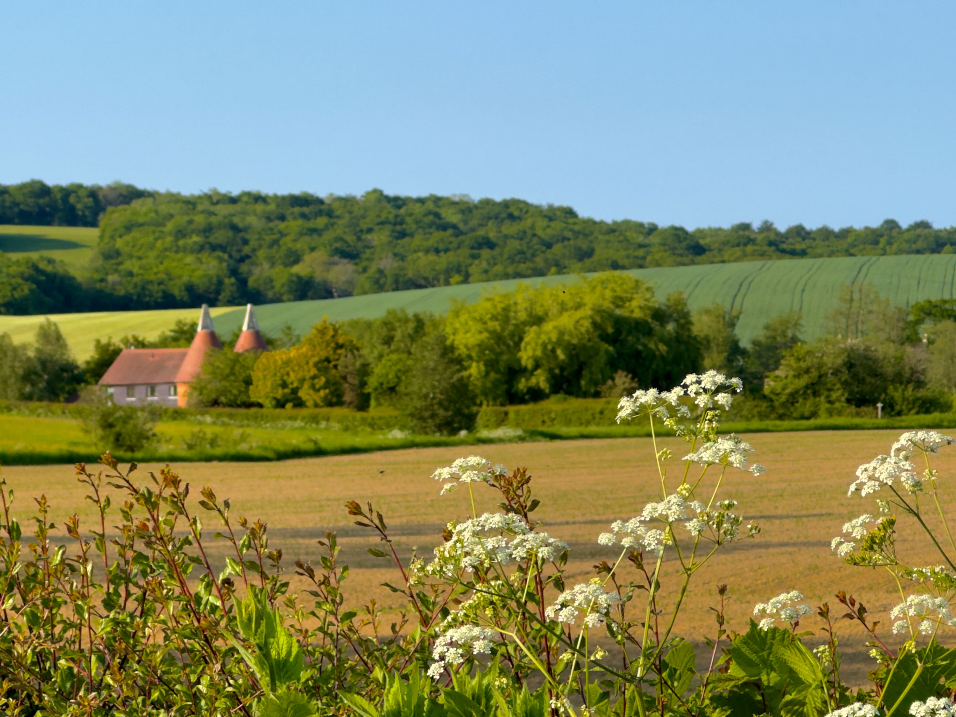High Weald News - grants for High Weald Champions!